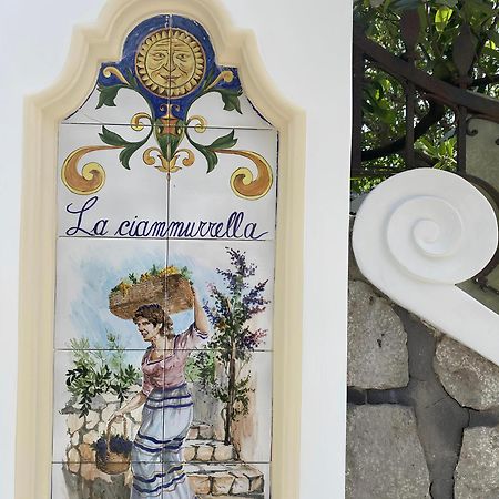 B&B La Ciammurrella Anacapri  Zewnętrze zdjęcie