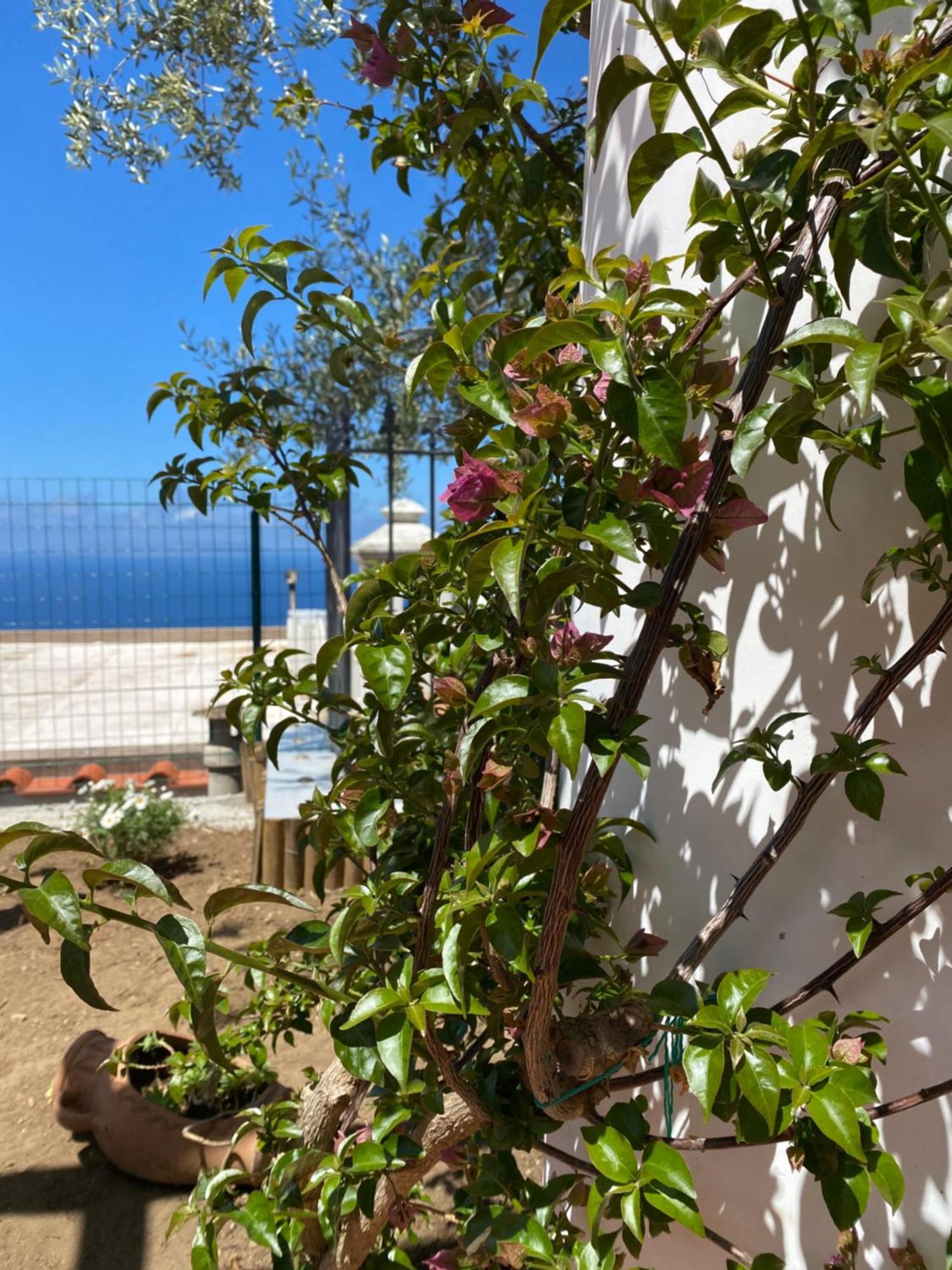 B&B La Ciammurrella Anacapri  Zewnętrze zdjęcie